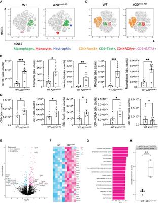 Myeloid A20 is critical for alternative macrophage polarization and type-2 immune-mediated helminth resistance